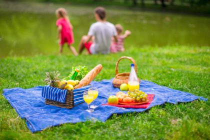 Family picnicking