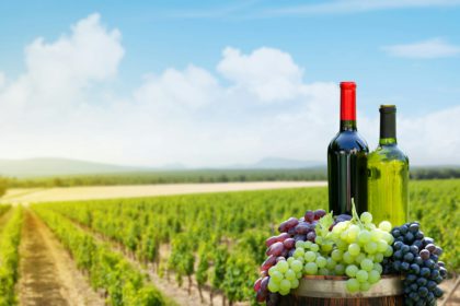 Red and white wine bottles and colorful grapes on wine barrel