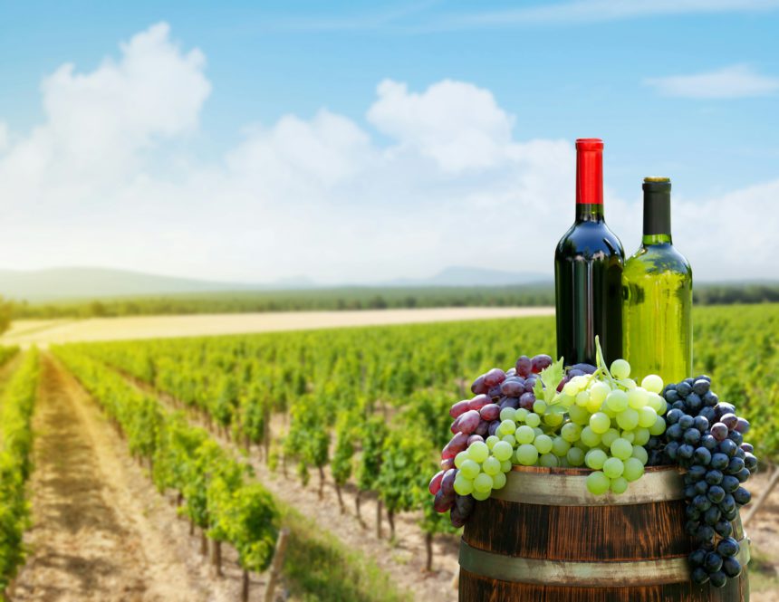 Red and white wine bottles and colorful grapes on wine barrel